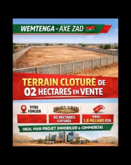 Faso Immobilier