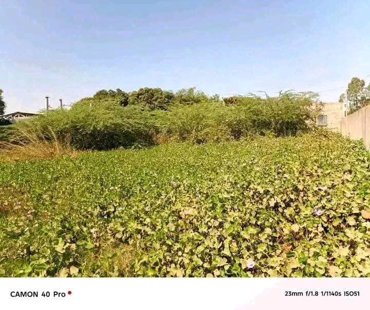 Terrain 706m² en vente à Dassasgho