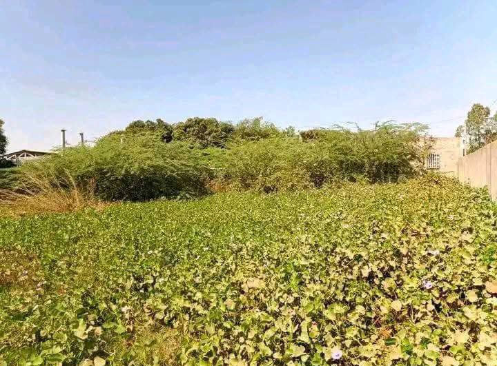 Terrain 706m² en vente à Dassasgho