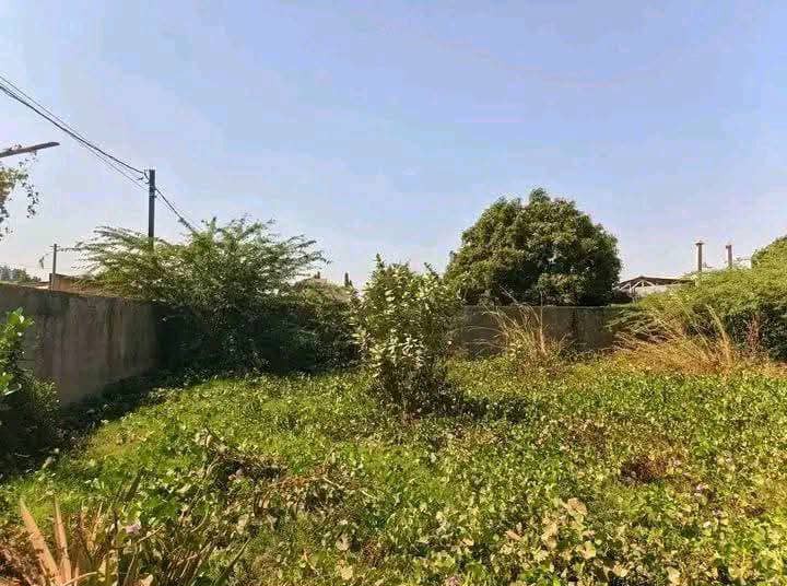 Terrain 706m² en vente à Dassasgho