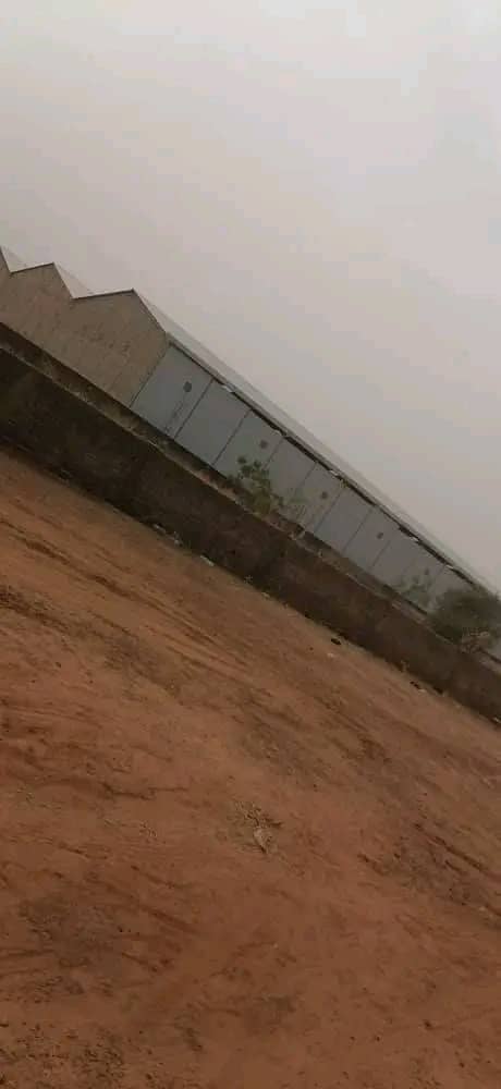 Terrain clôturé 3 ha à vendre – Loumbila