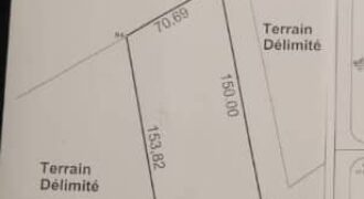 Terrain de 1,5 hectares à vendre – Koubri, Ouagadougou