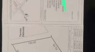 Terrain de 3 hectares à vendre – Koubri Barnongo, Ouagadougou