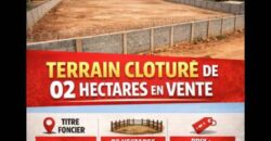 Terrain commercial de 2 hectares à vendre à la ZAD – Burkina Faso