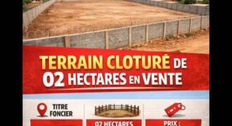 Terrain commercial de 2 hectares à vendre à la ZAD – Burkina Faso