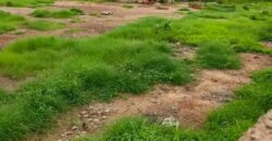 Terrain pan coupé de 2625 m² à vendre à Ouaga 2000 – Burkina Faso