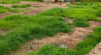 Terrain pan coupé de 2625 m² à vendre à Ouaga 2000 – Burkina Faso